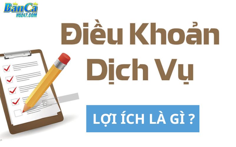 Lợi ích cho bet thủ khi tuân thủ điều khoản dịch vụ 