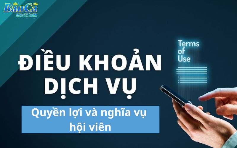 Quyền lợi của hội viên tuân thủ điều khoản 